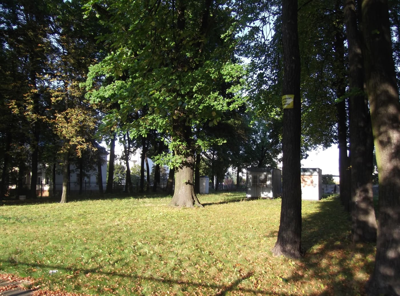 Gardens at 211, 213, 215 Zgierska Street in Łódź