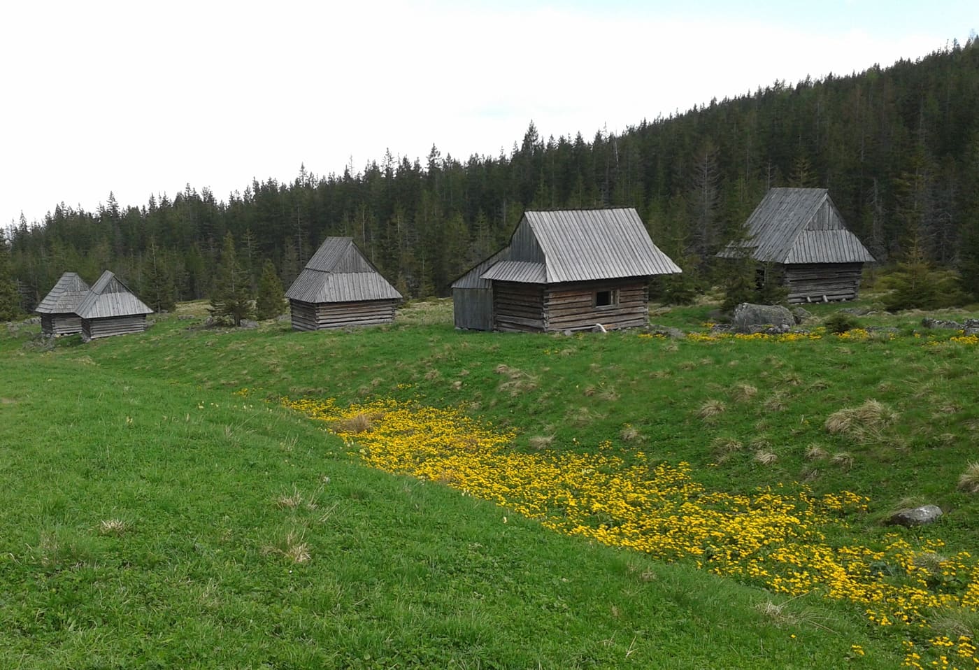 Shepherd shelters at Polana Kopieniec