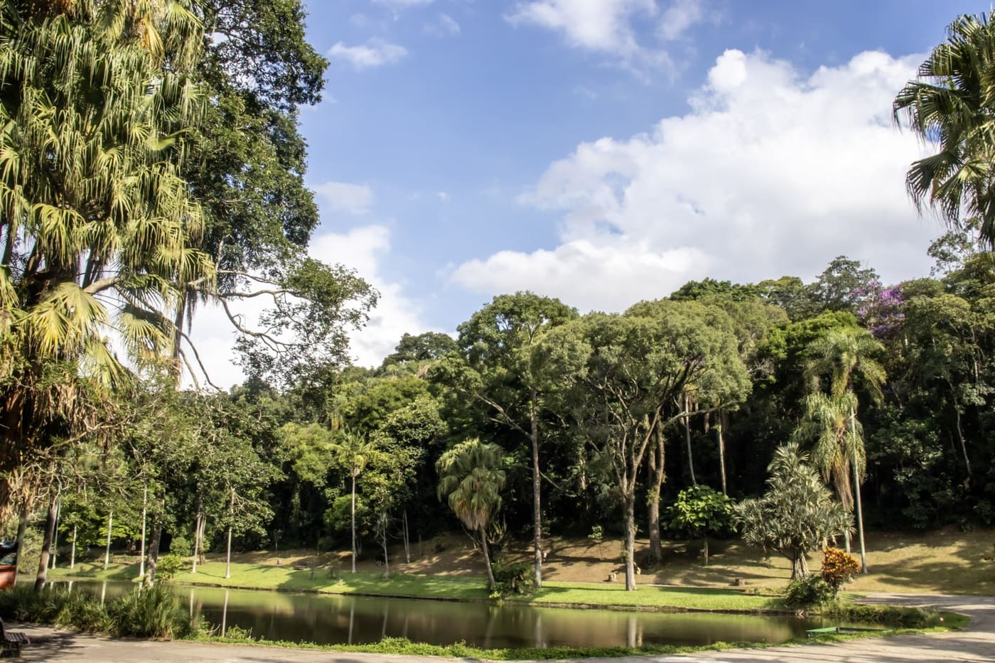 Jardim Botânico de São Paulo