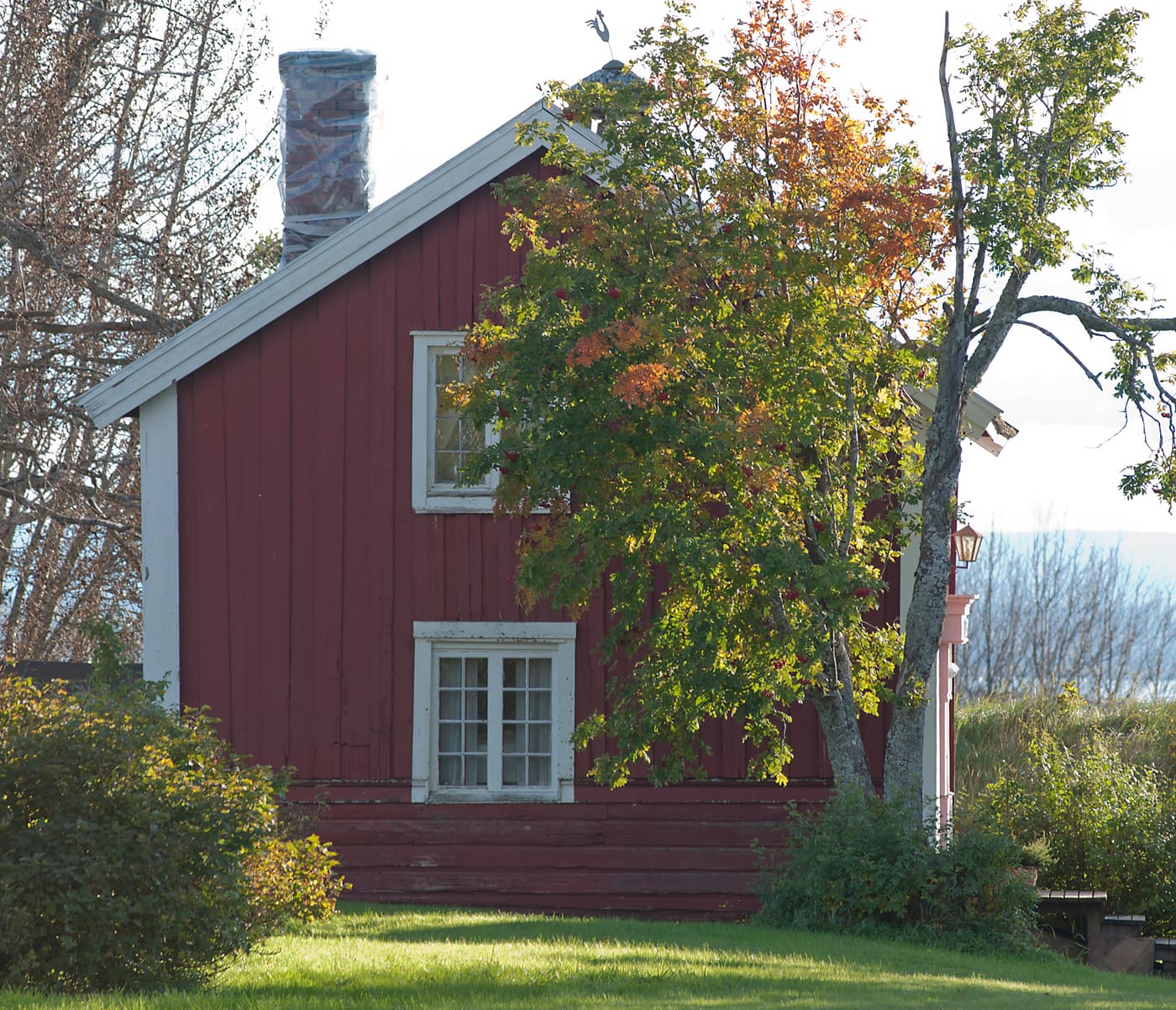 Scolarebostaden