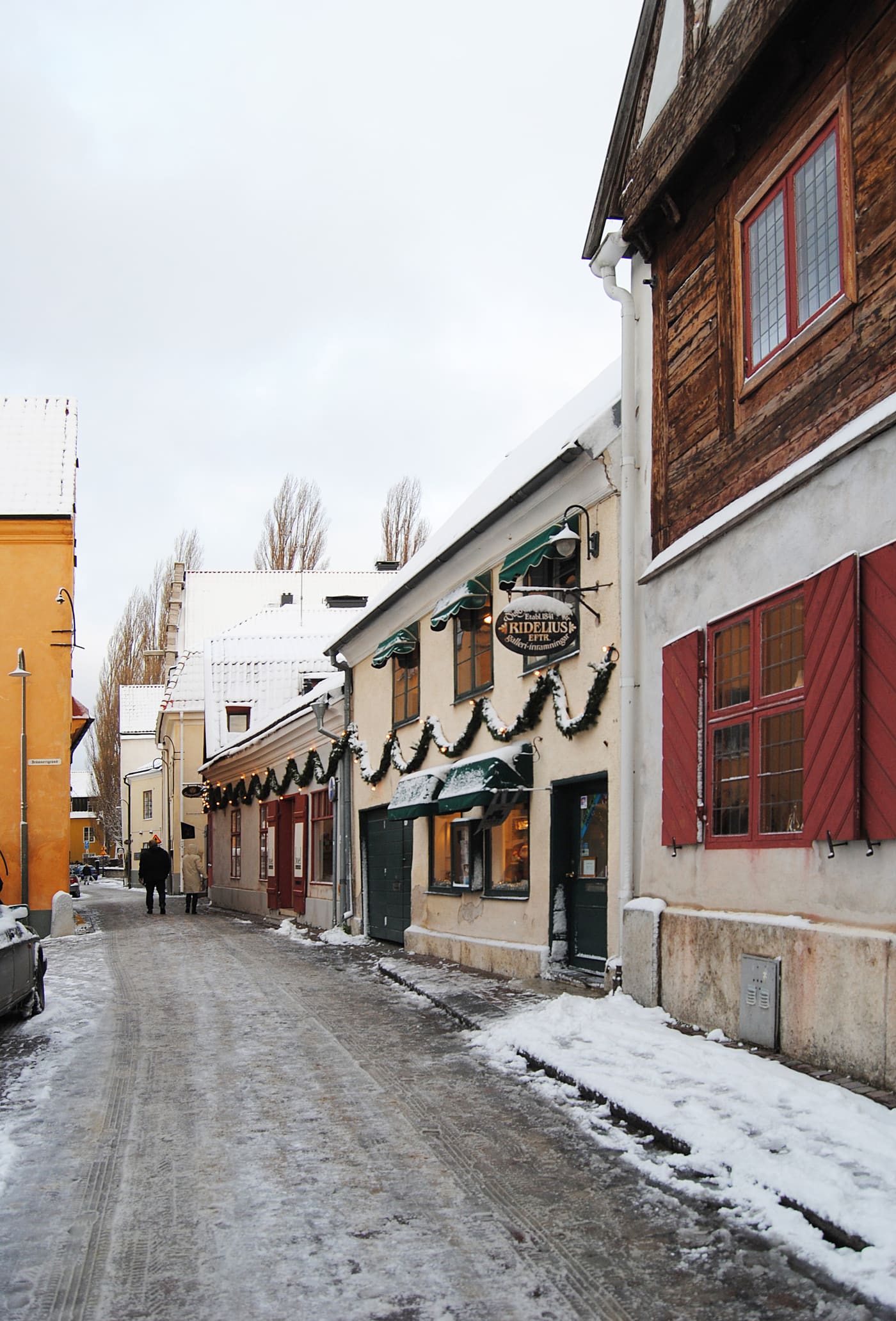 Gråbrodern 6