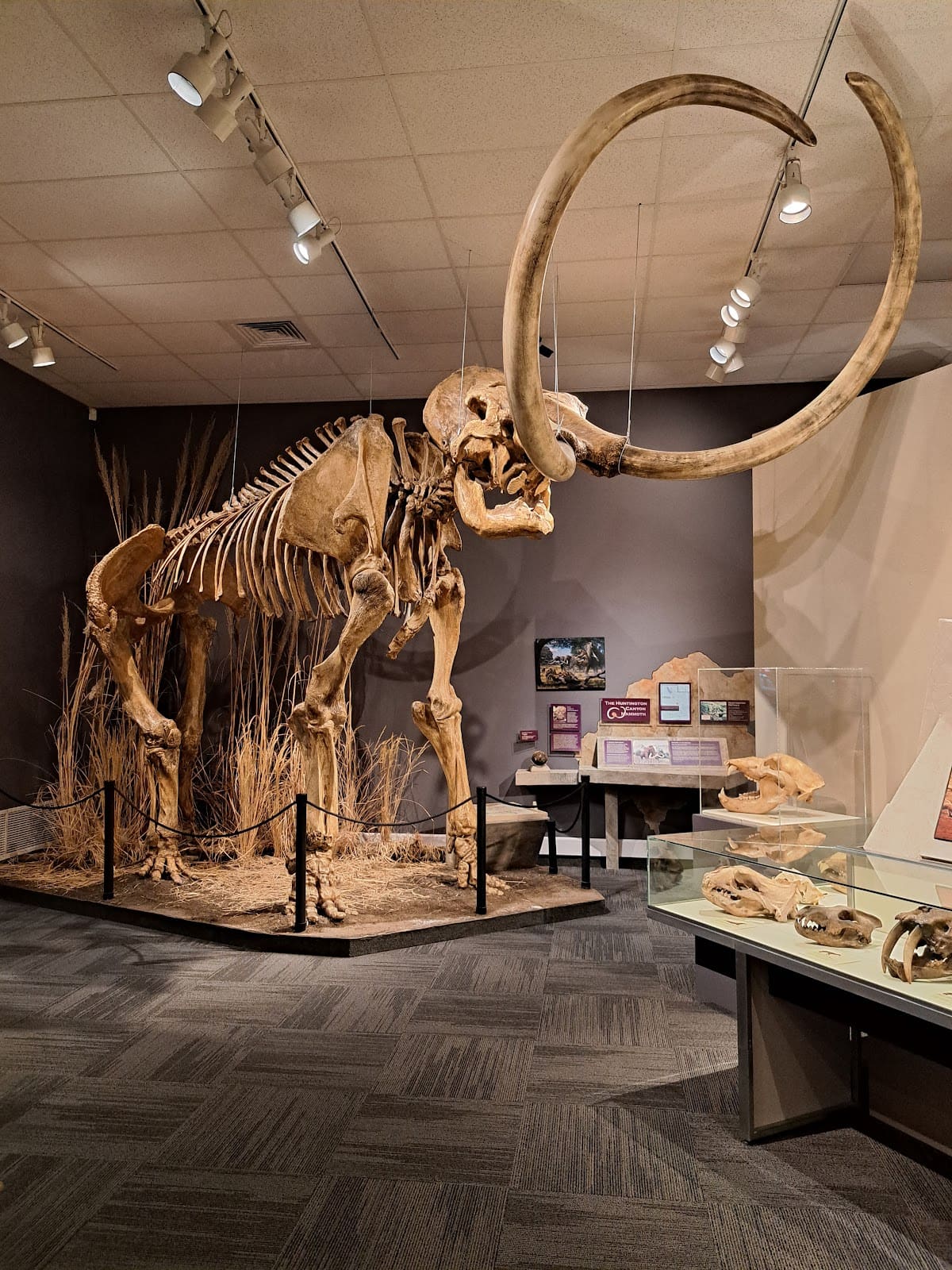 Herrett Center for Arts and Science