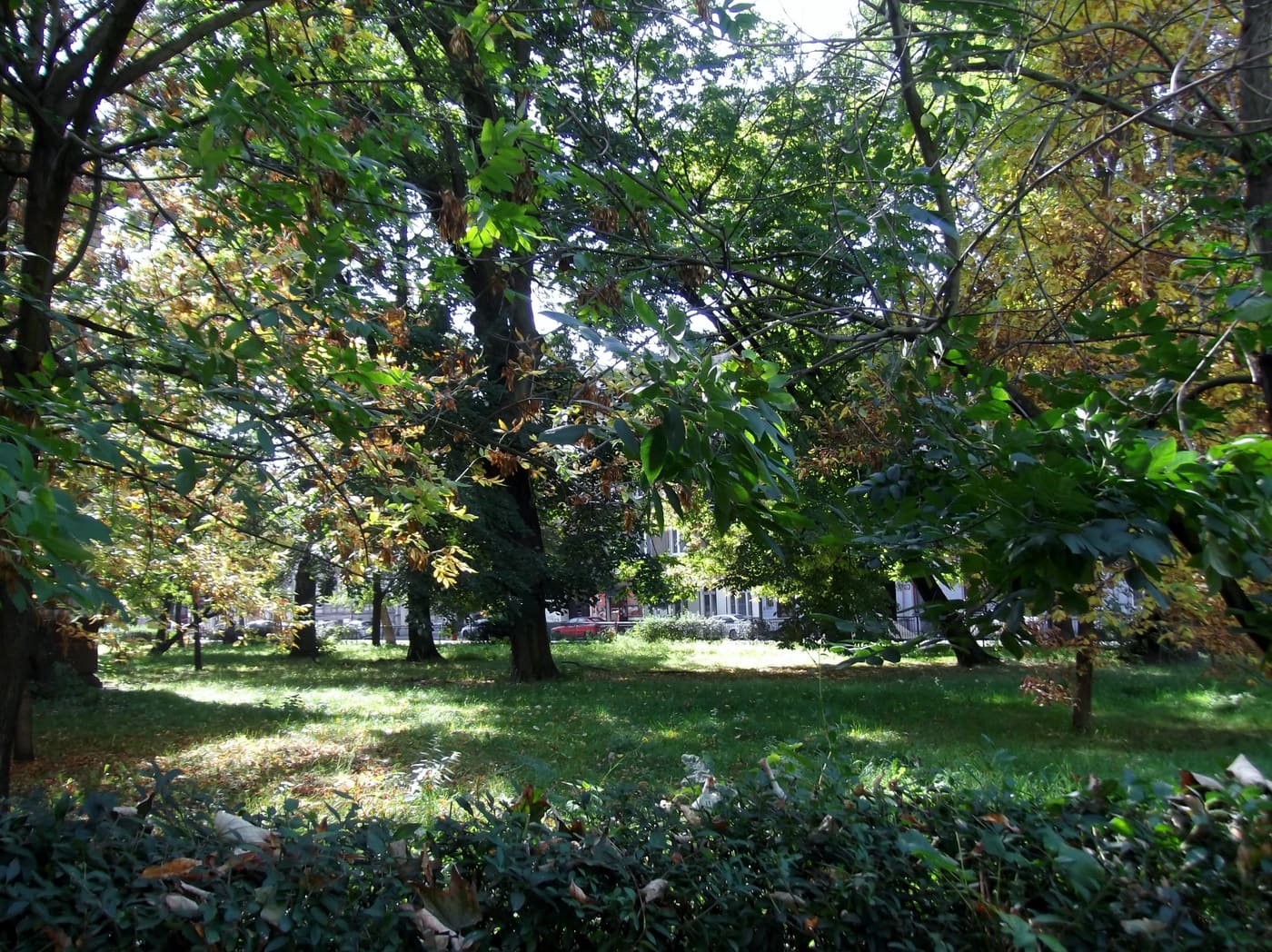 Garden of Arnold Stiller's palace in Łódź
