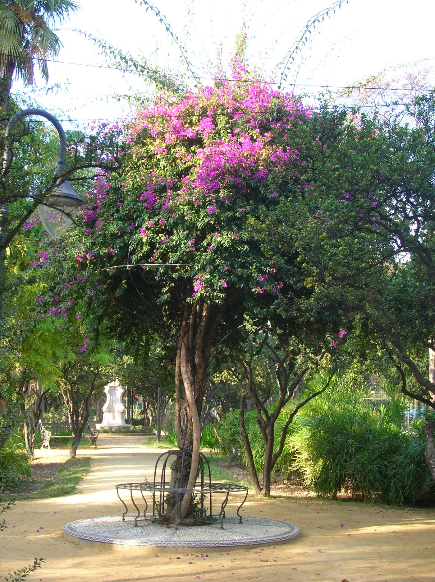 Las Delicias Gardens