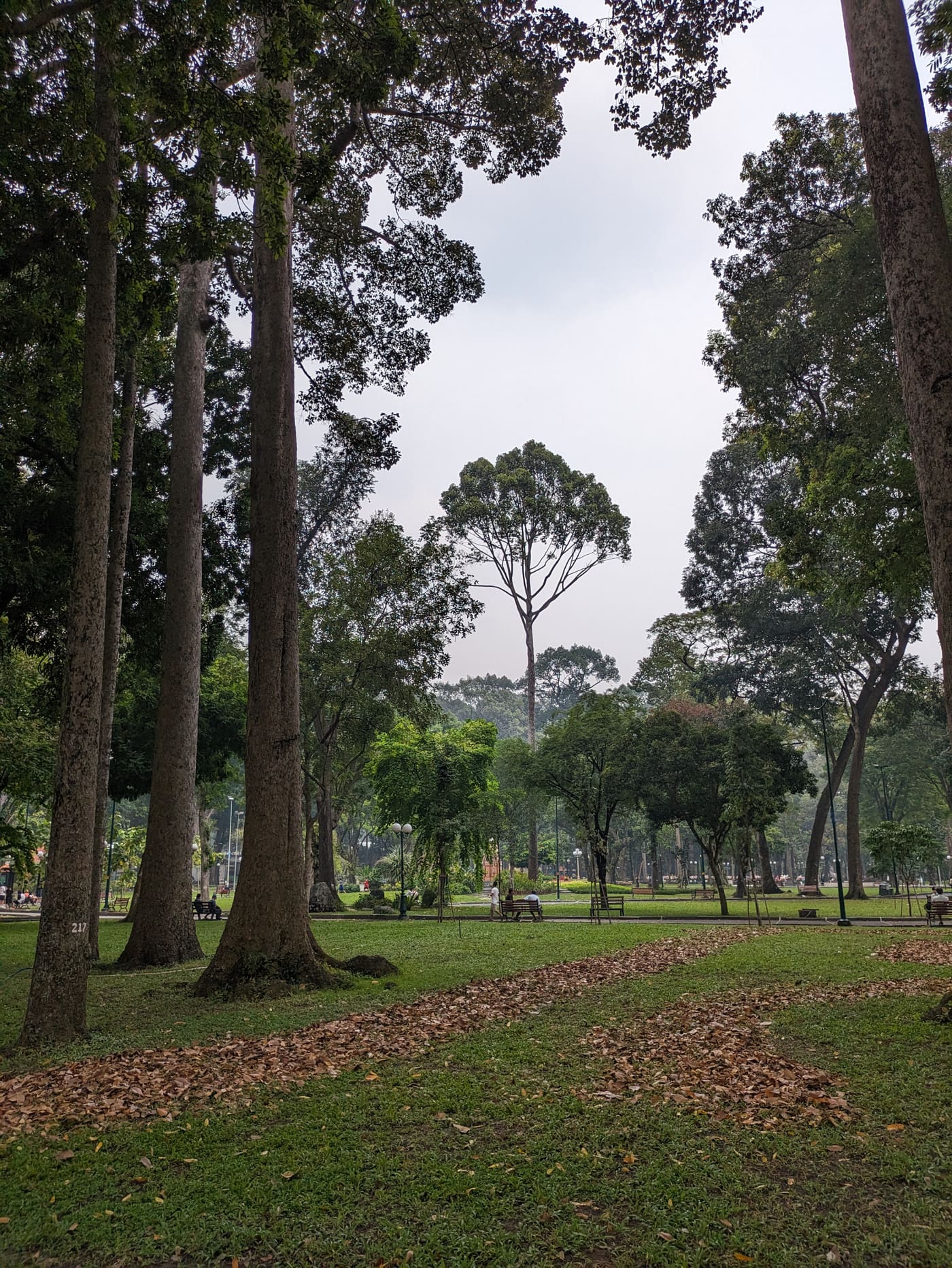 Vuon Tao Dan