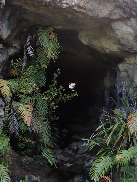 Charming Creek Coal Mine