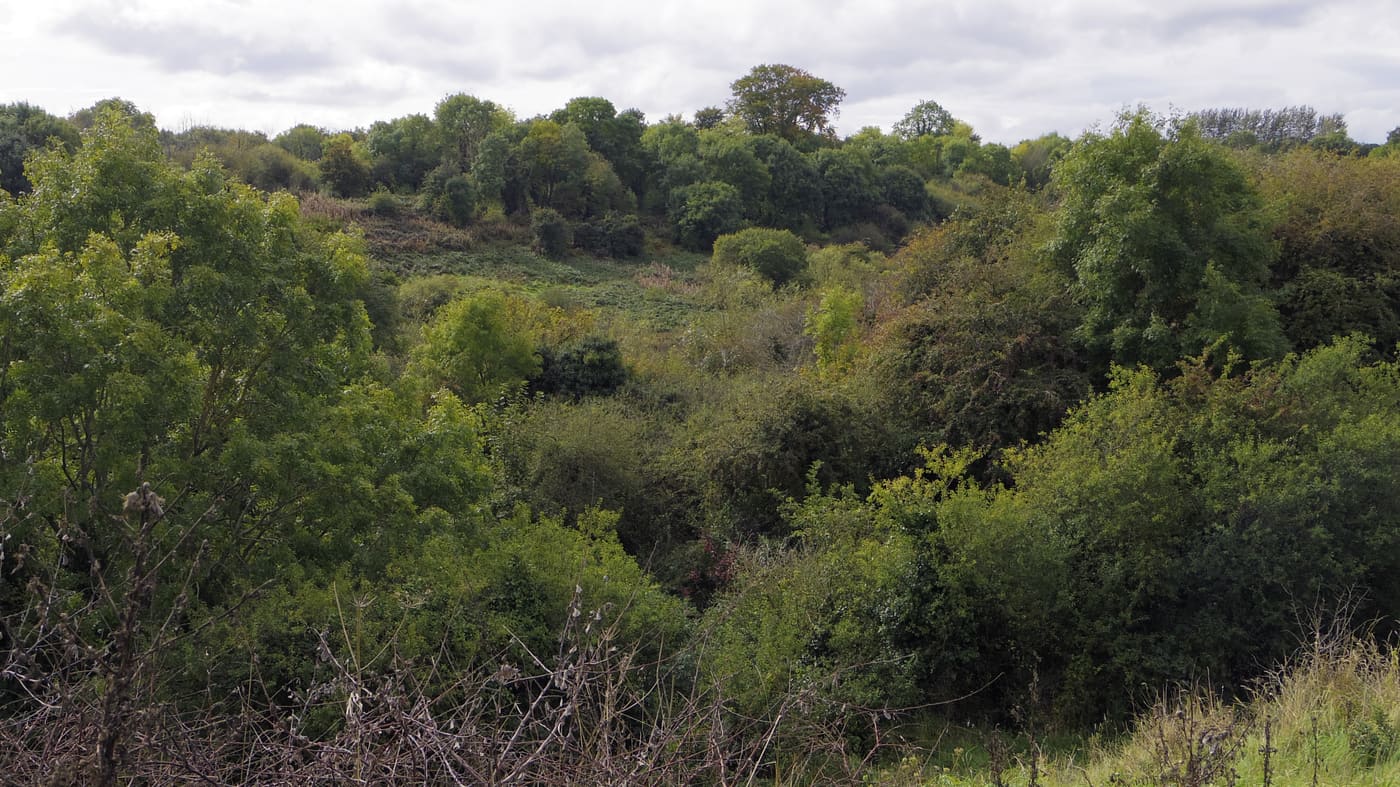 Brackenstown Garden
