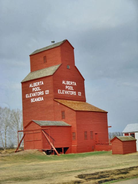 Scandia Alberta Wheat Pool Grain Elevator and Bow Slope Stockyard