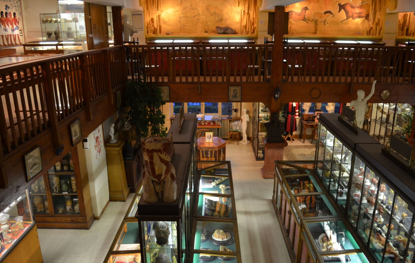 Musée Testut-Latarjet