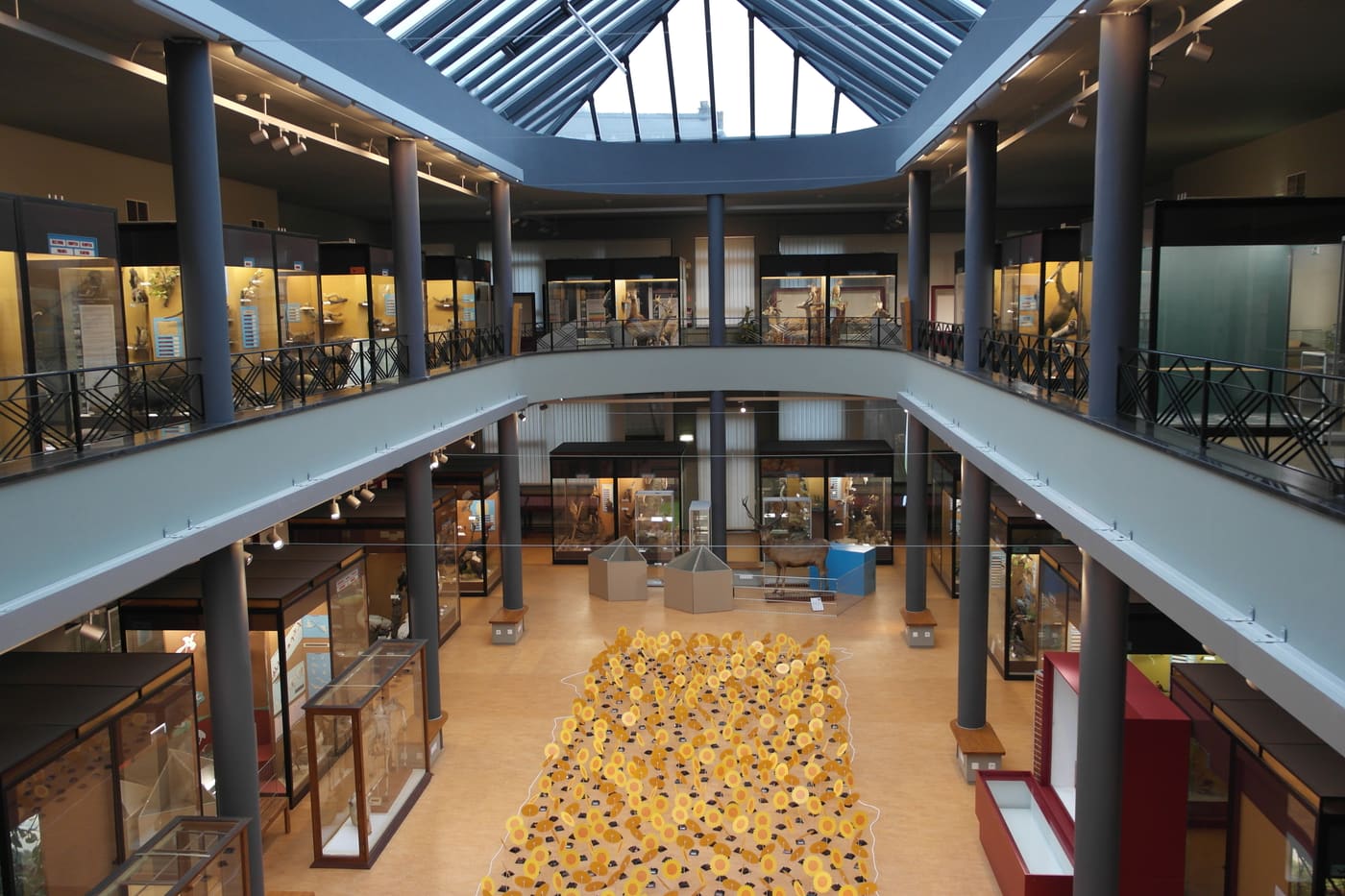 muséum régional des Sciences naturelles
