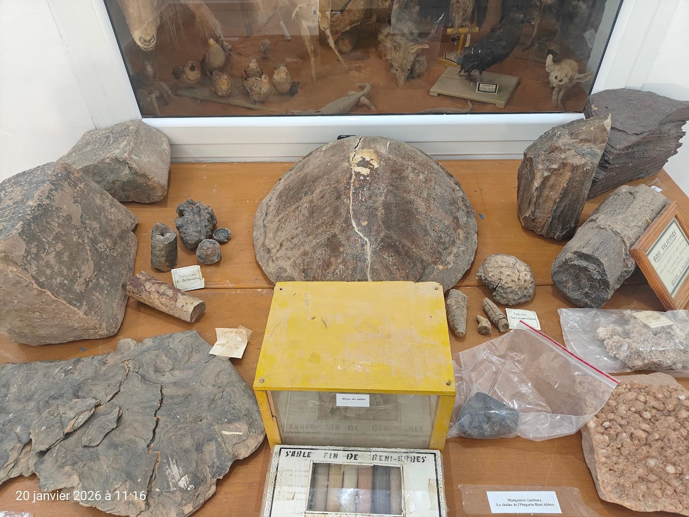 Beni Abbes Museum