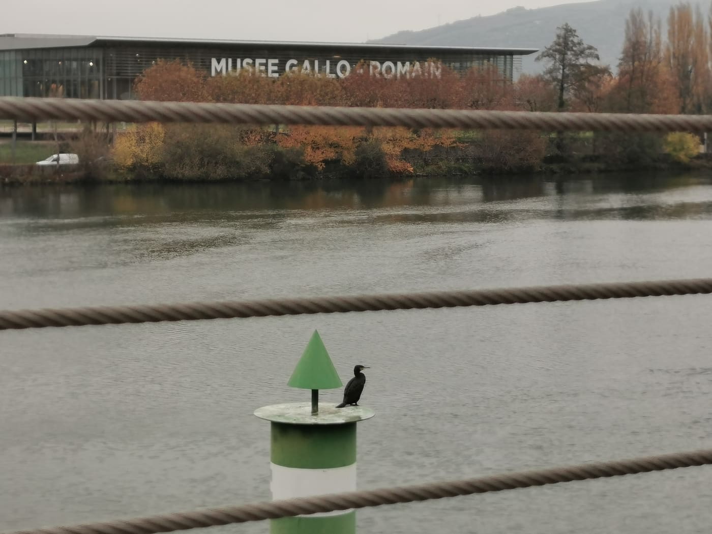 Musée Gallo-Romain de Saint-Romain-en-Gal