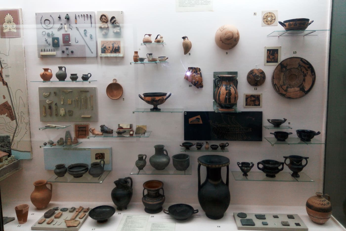 Archeological museum of NASU