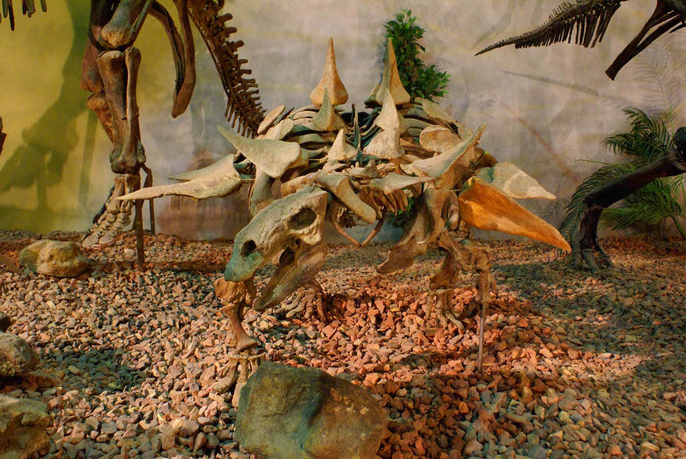 Wyoming Dinosaur Center