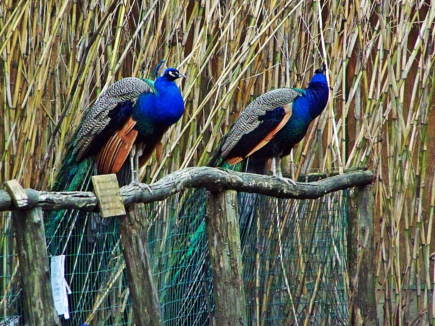 Centro di scienze naturali