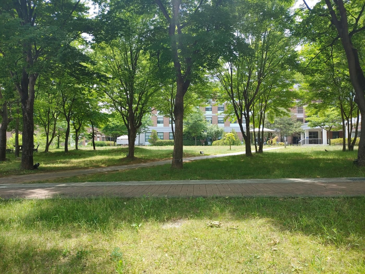 Korea Polytechnic Semi Convergence