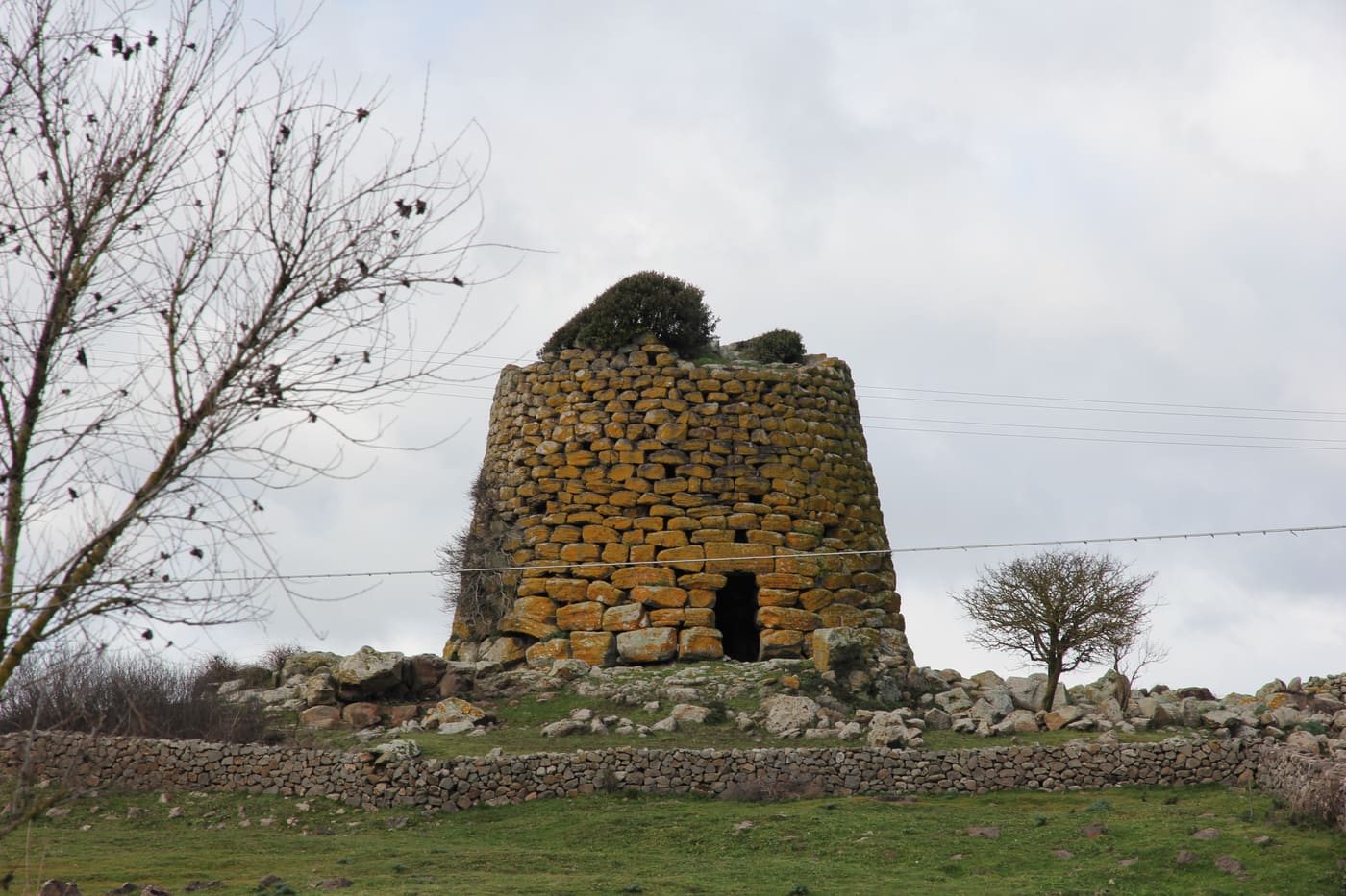 Nuraghe Succoronis
