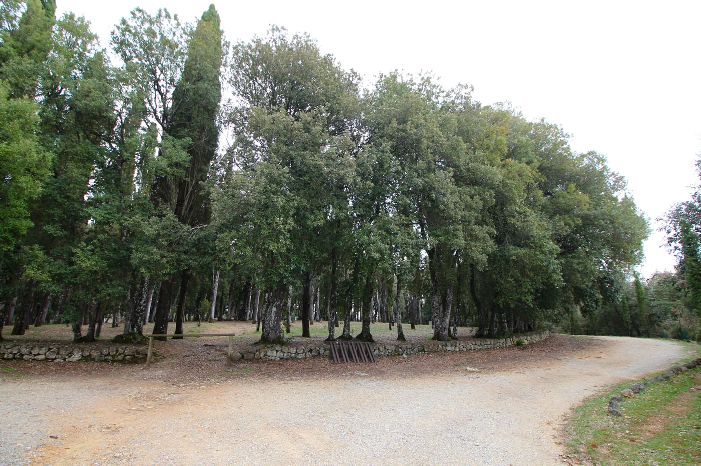 Il Tondo