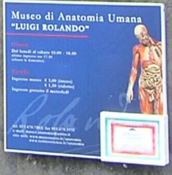 Museum of Human Anatomy Luigi Rolando