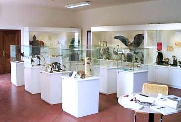Museo dell'Ecologia