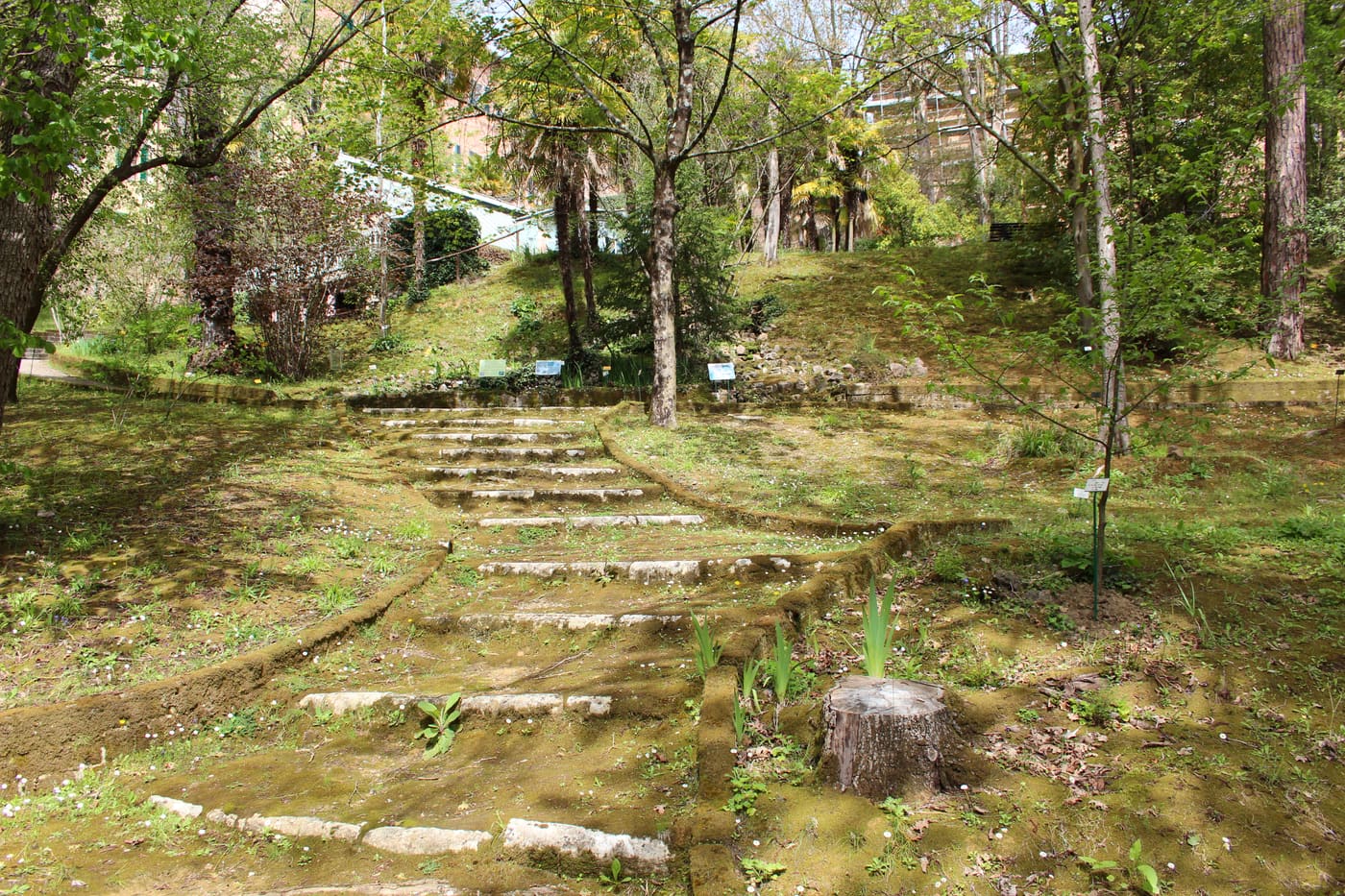 Orto Botanico dell'Università di Siena