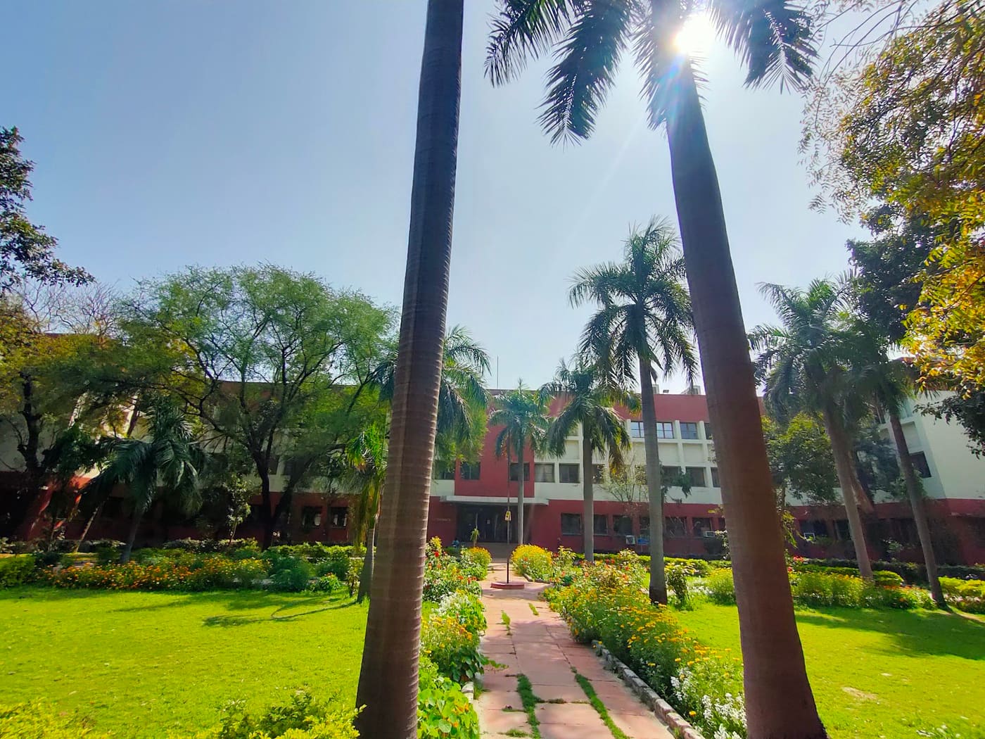 Delhi School of Economics