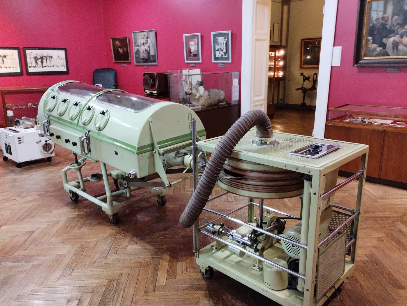 Paula Stradin̦a Medicīnas vēstures muzejs