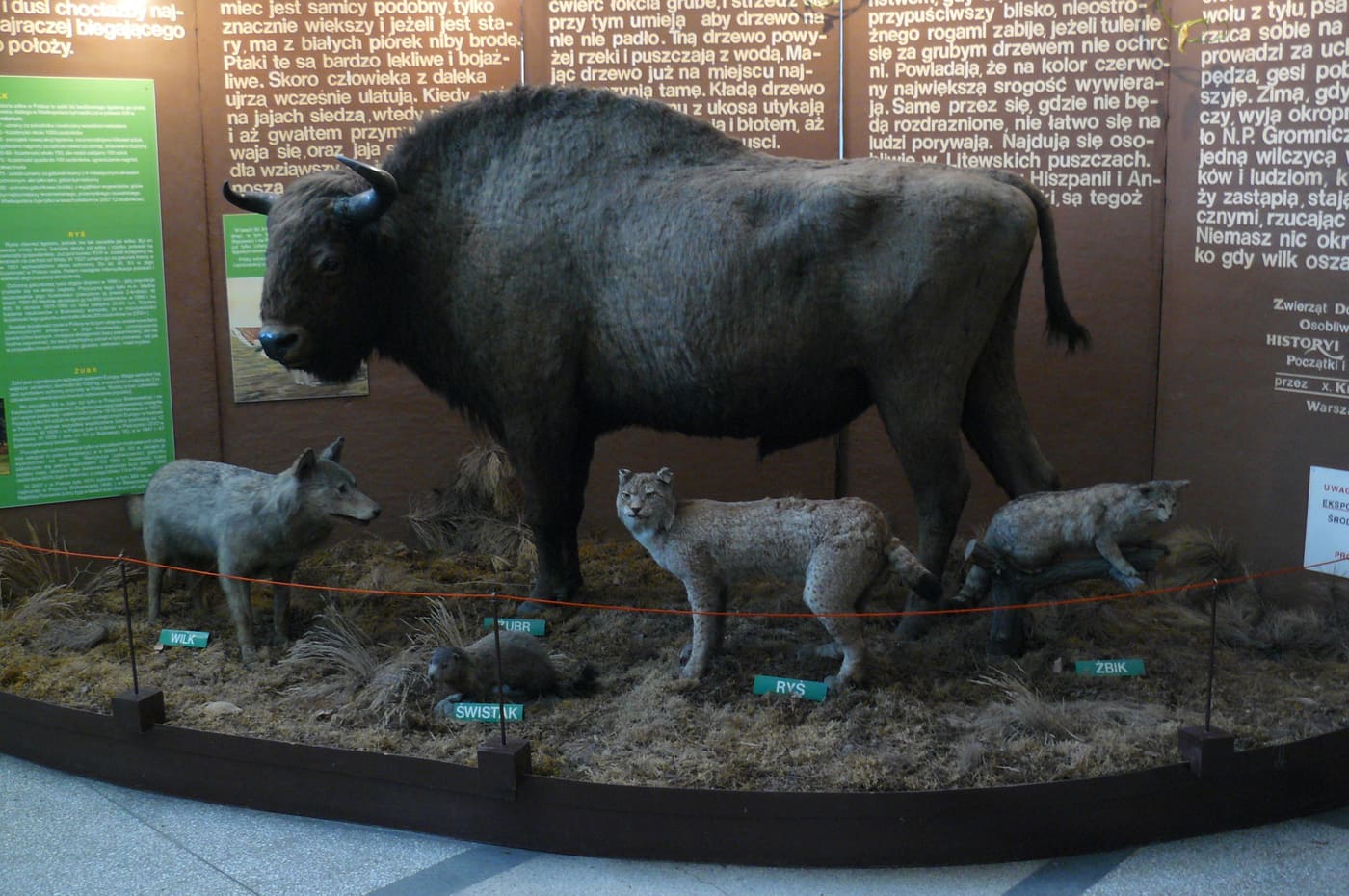 Museum of nature in Poznań