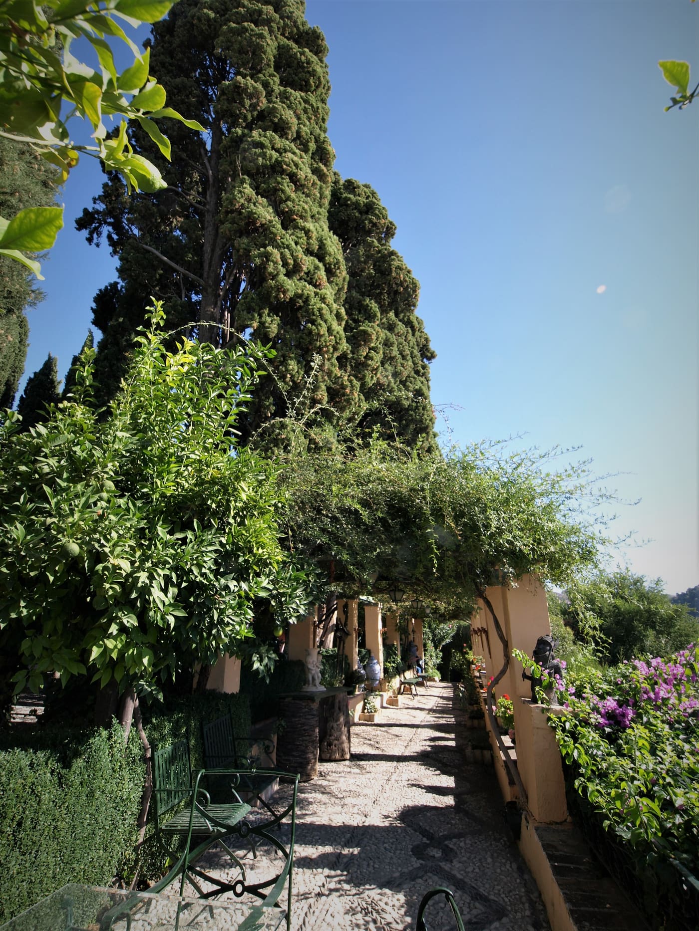 Jardines del Carmen de los Cipreses