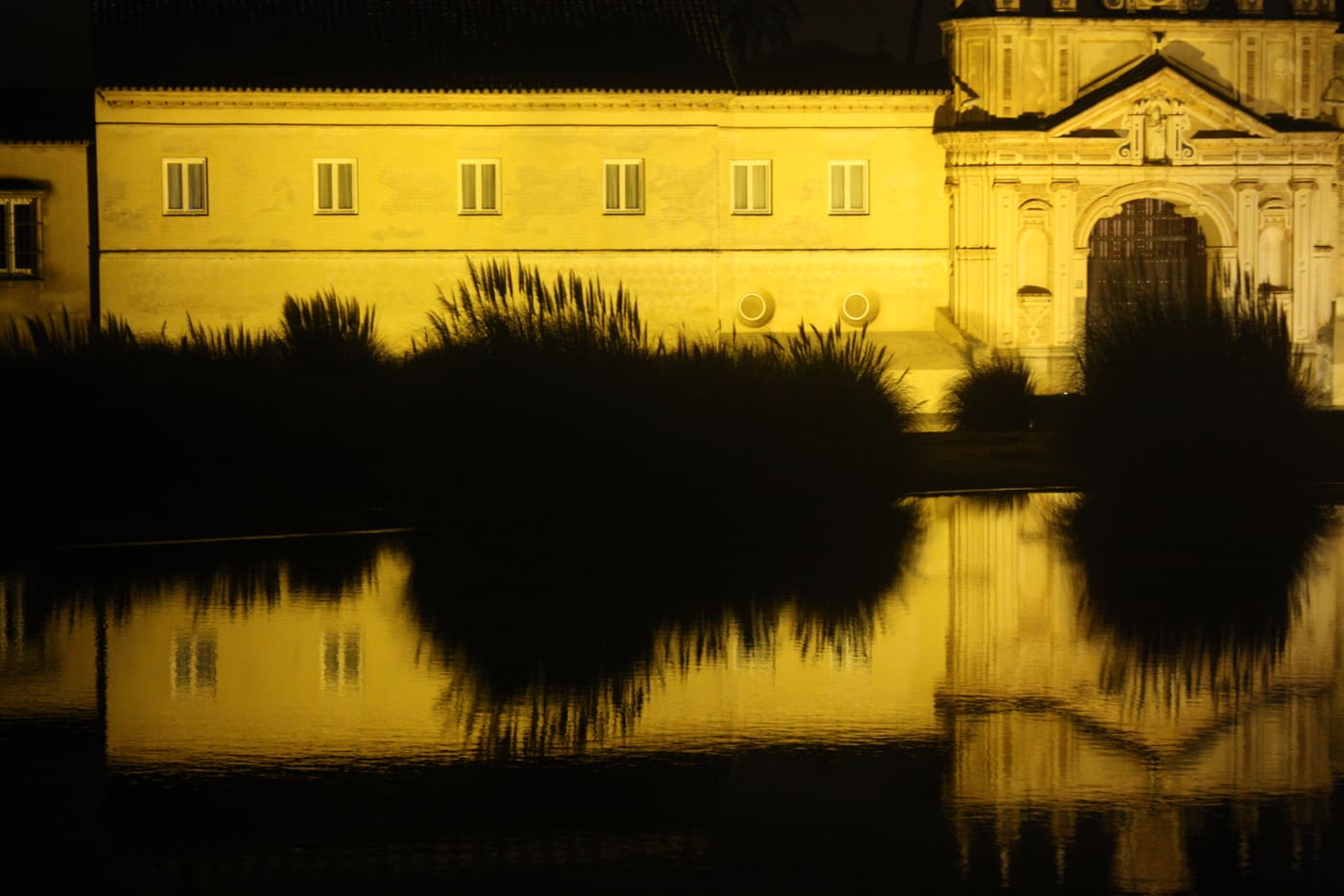 Museo de Arte Contemporáneo