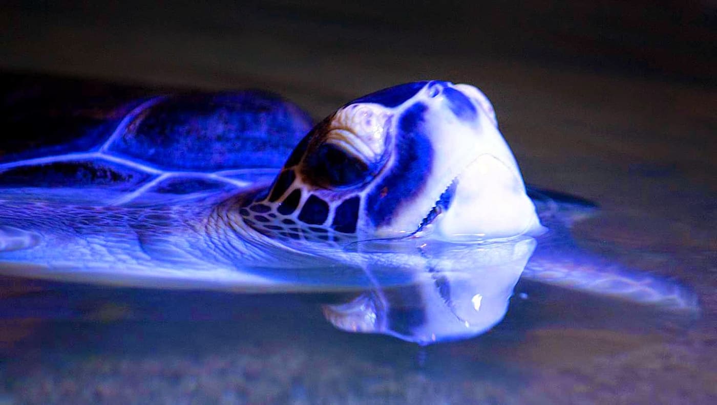 Aquaworld Aquarium