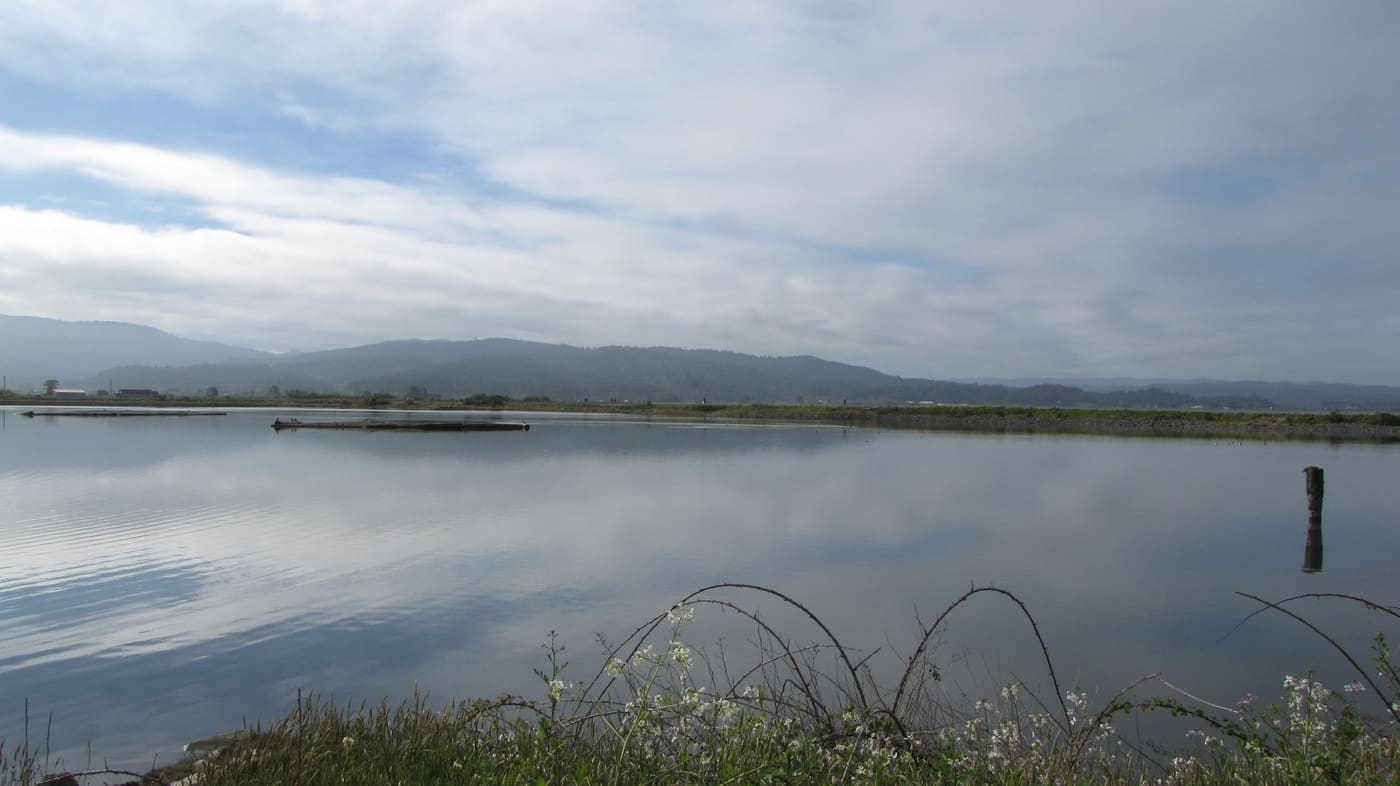 Arcata Wastewater Treatment Plant and Wildlife Sanctuary