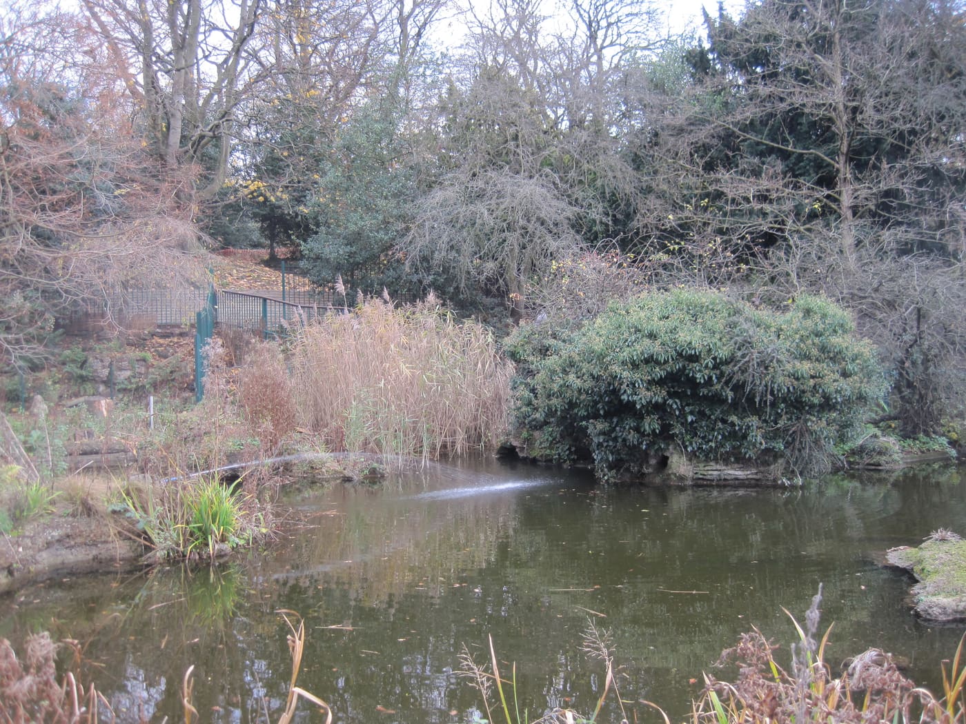 Avenue House Grounds