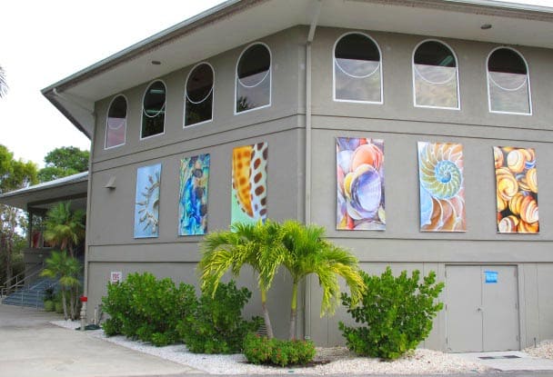 Bailey-Matthews National Shell Museum & Aquarium