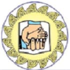 Shri Binzani City College