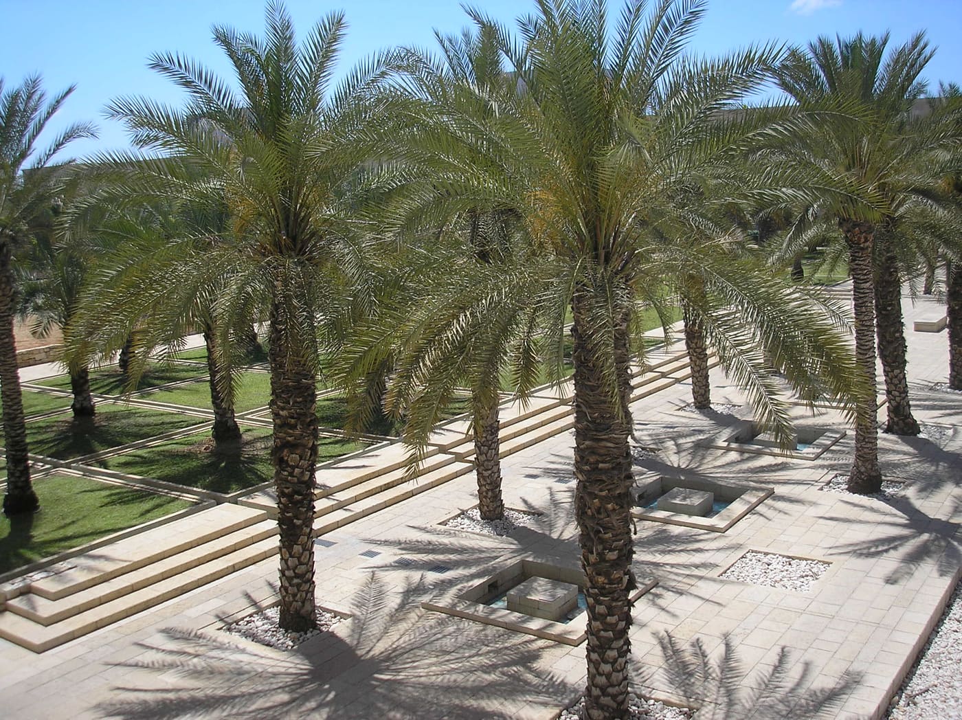 Ben-Gurion International Airport Garden