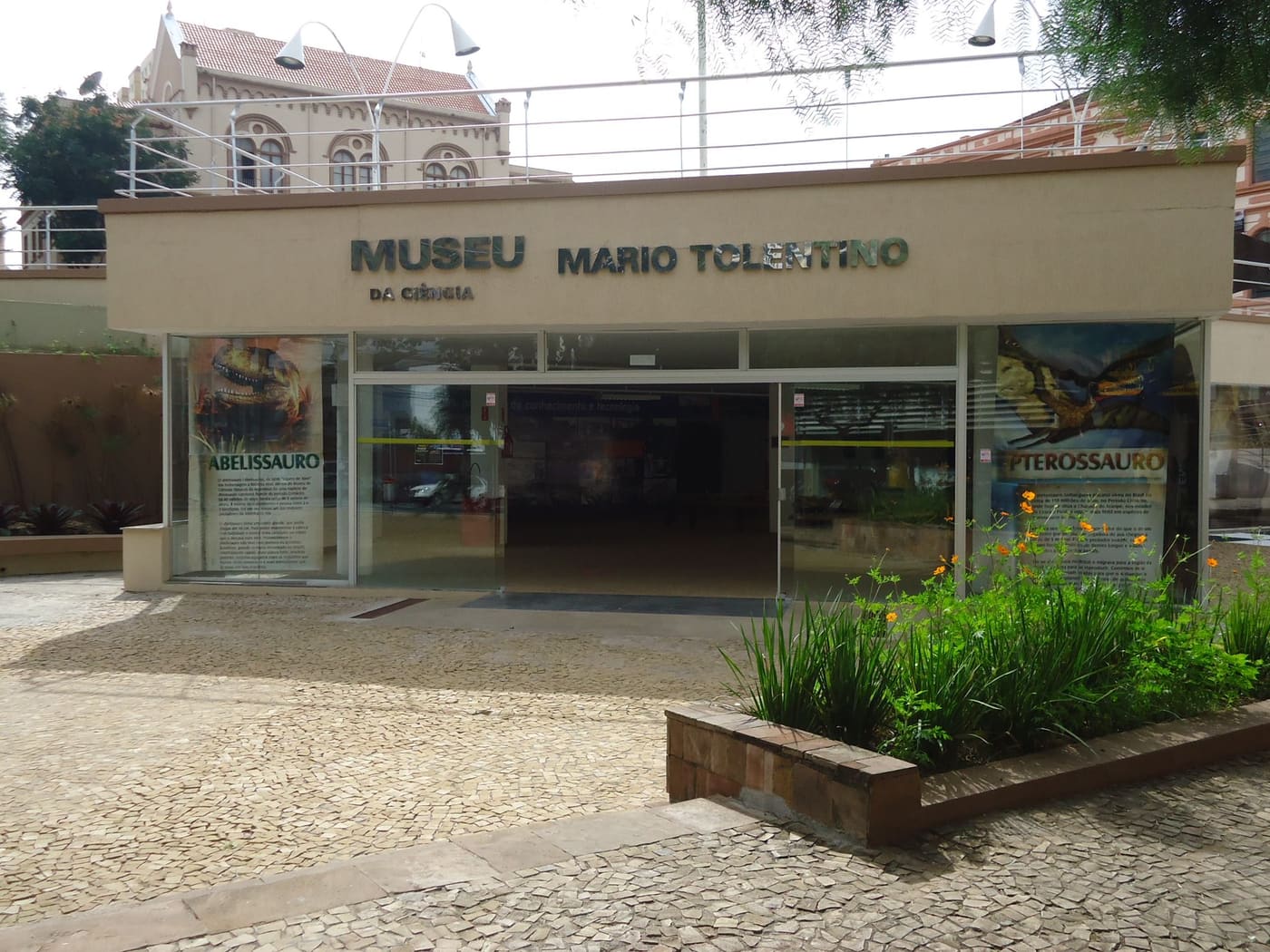 Museum of Science Professor Mario Tolentino