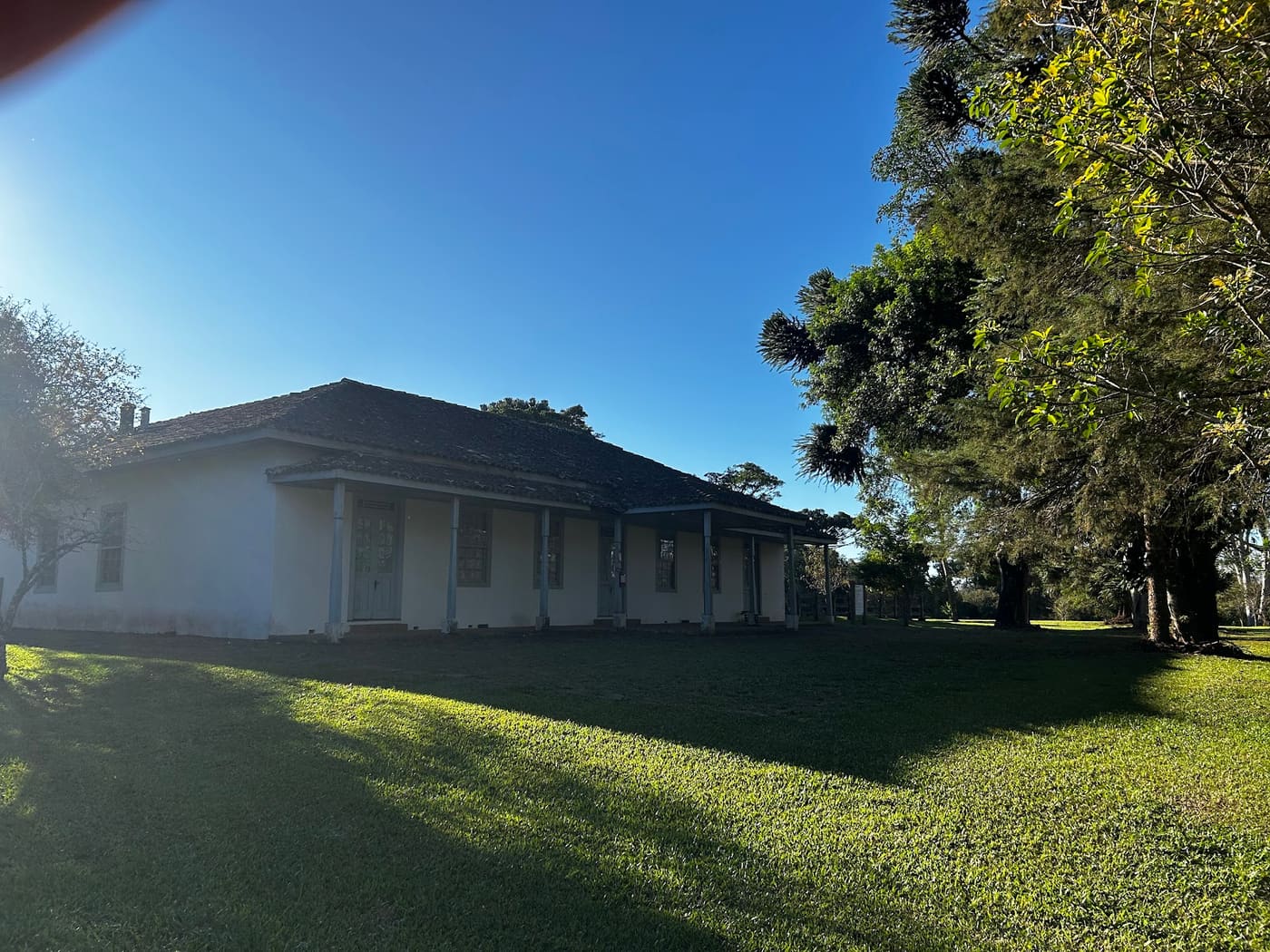 Fazenda Velha (Telêmaco Borba)