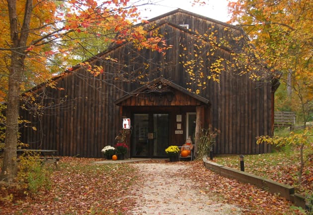 Birds of Vermont Museum