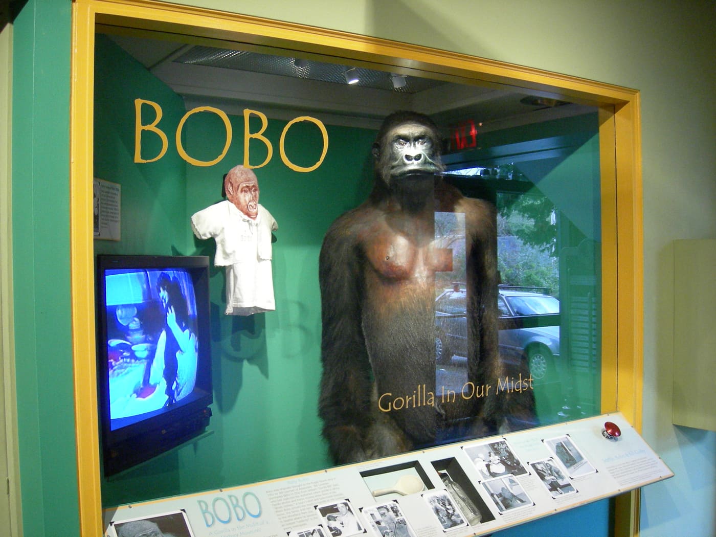Bobo