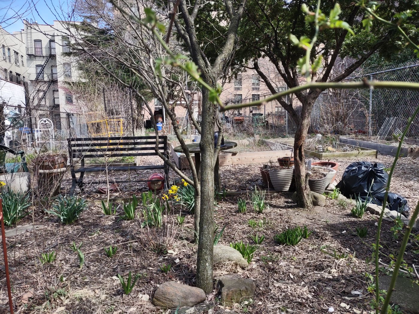 Morris-Jumel Ecological Education Garden