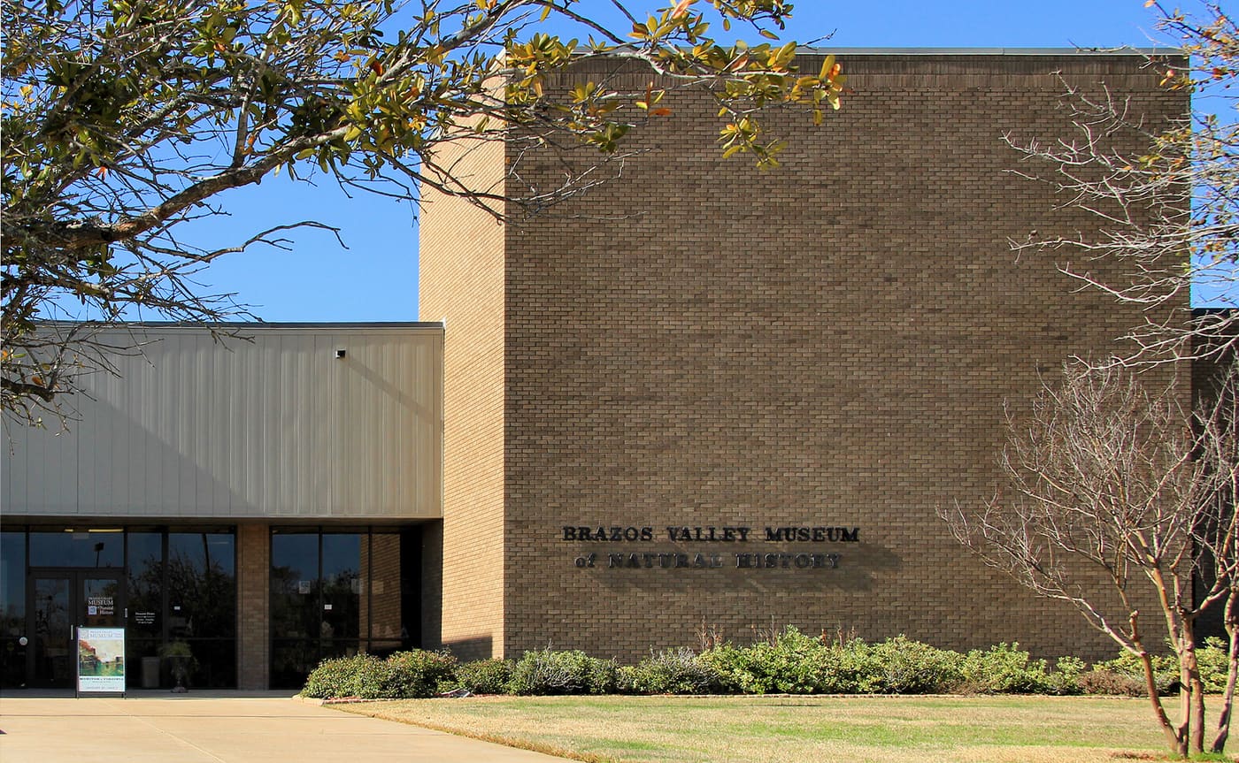 Brazos Valley Museum of Natural History