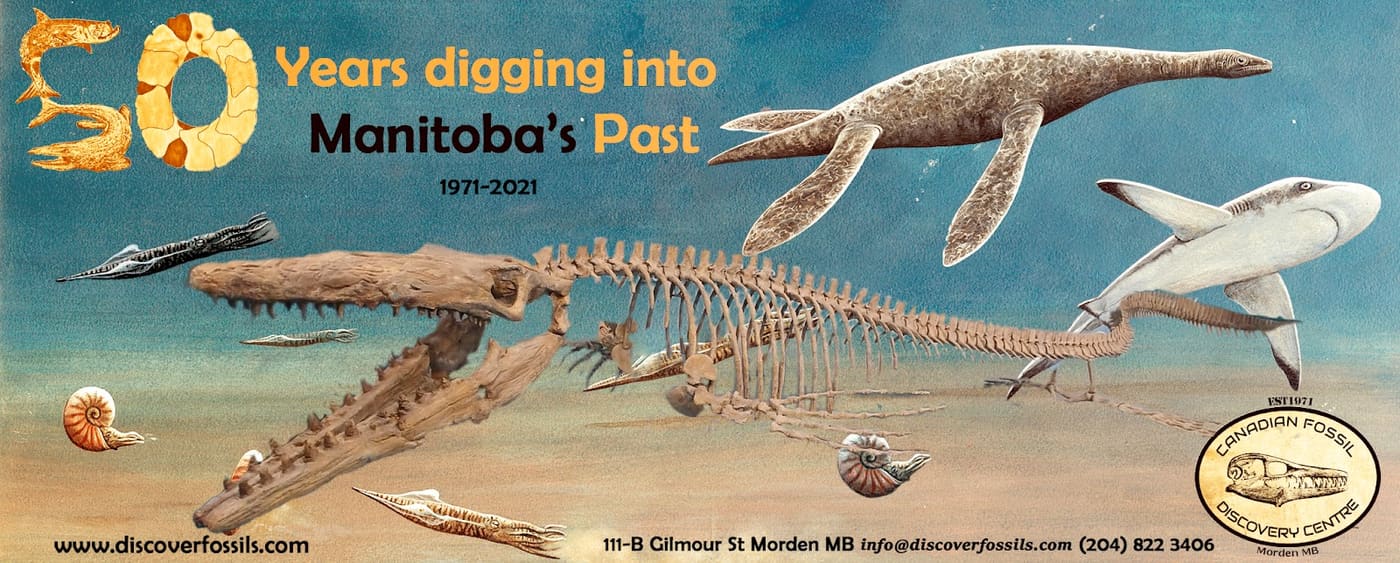 Canadian Fossil Discovery Centre