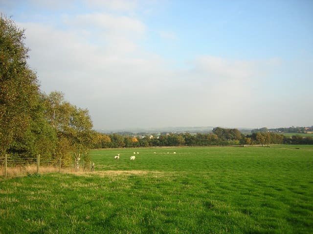 Chisnall Hall Colliery