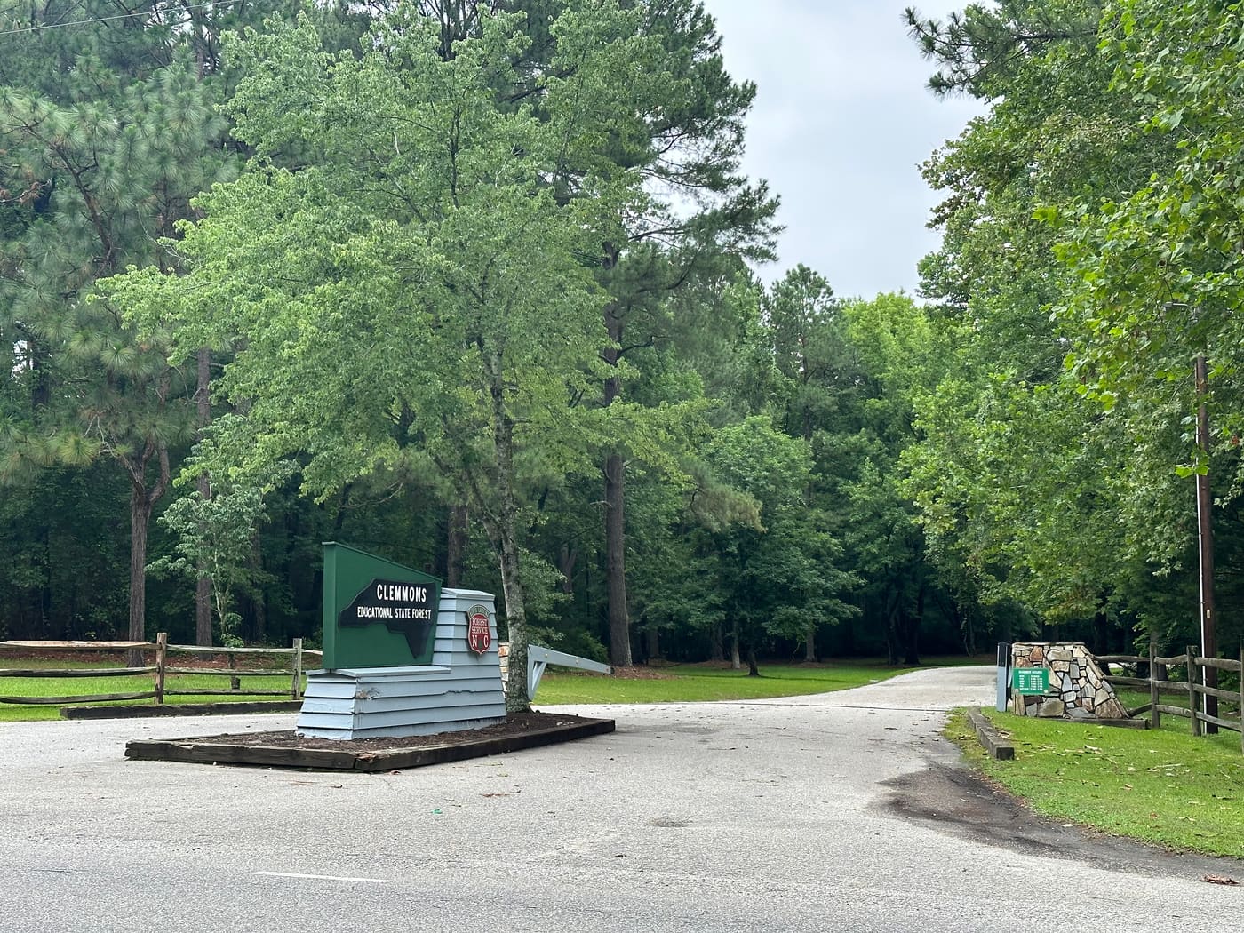 Clemmons Educational State Forest