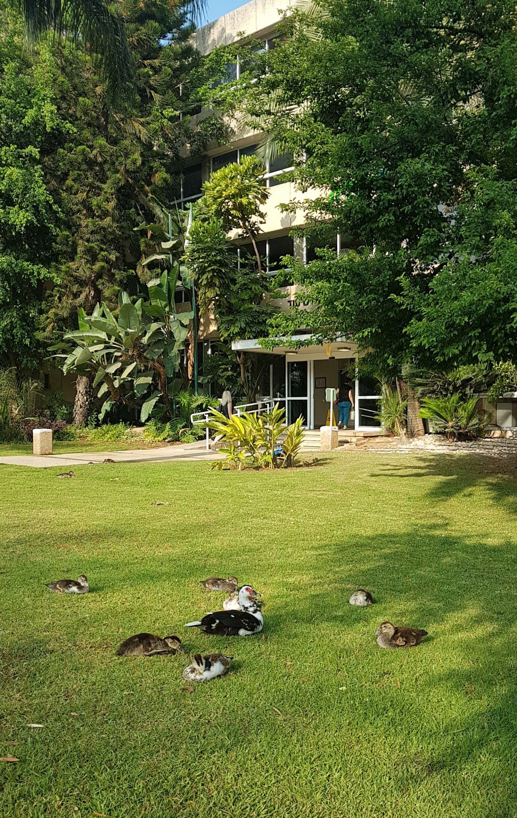 Dan Academic Center