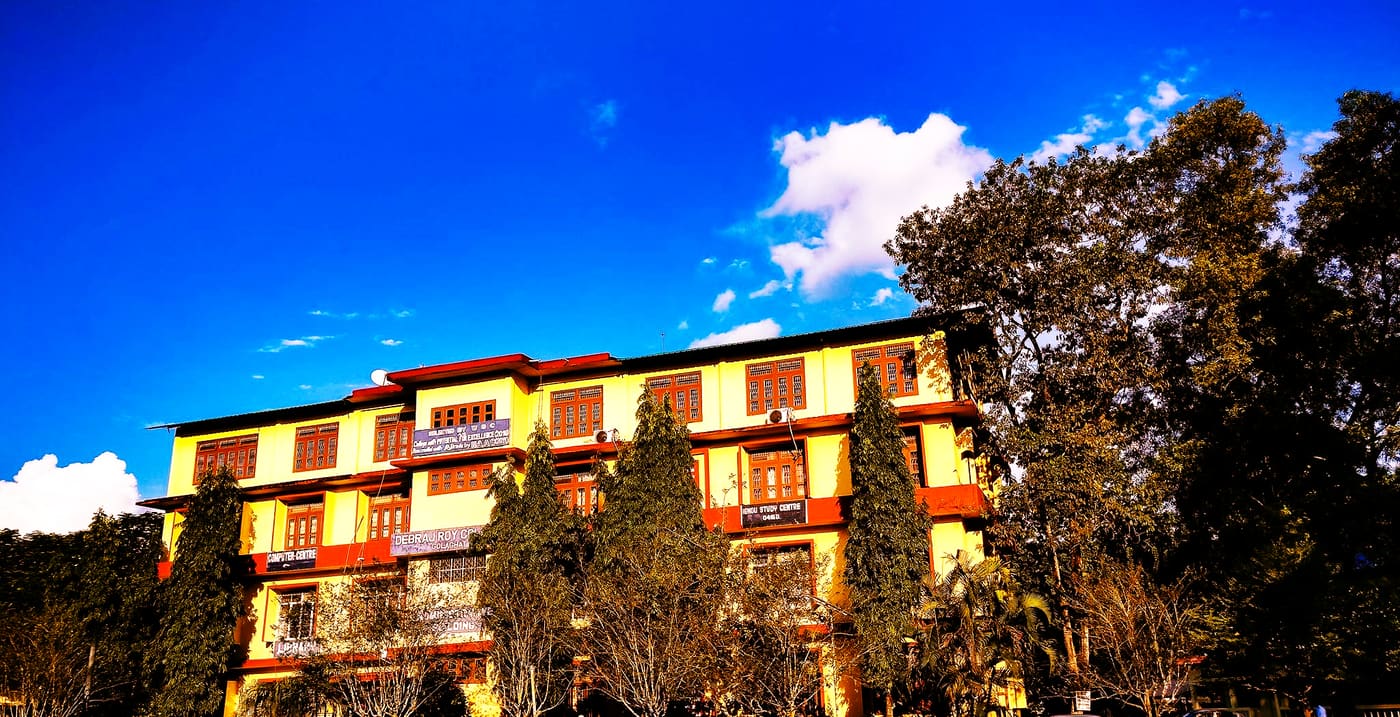 Debraj Roy College