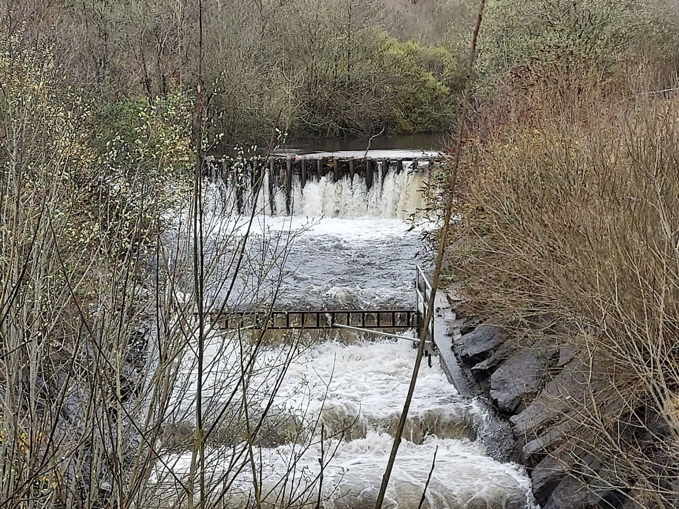 Deep Navigation Colliery