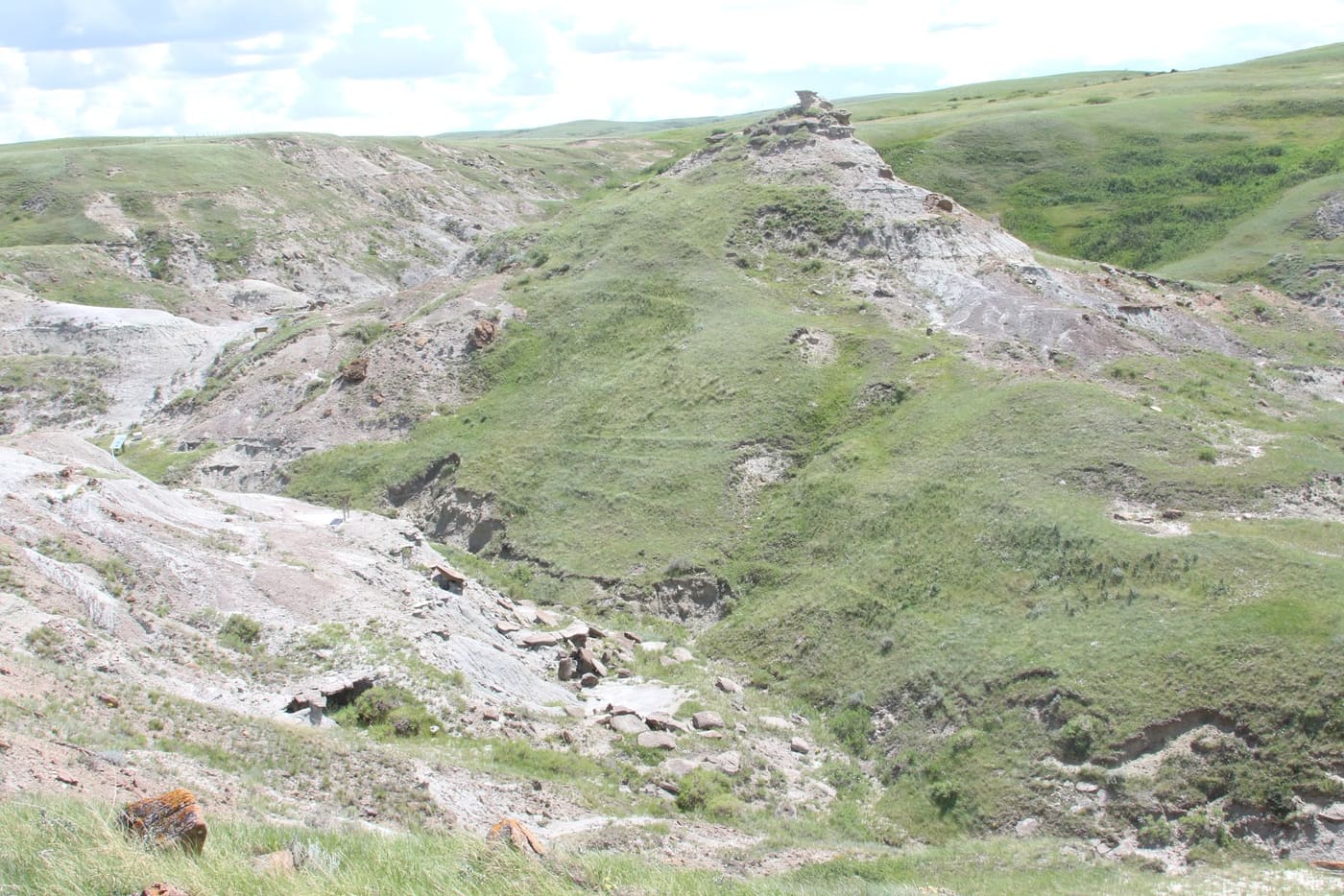 Devil's Coulee Dinosaur Heritage Museum