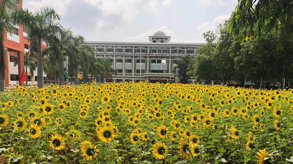 Dhivya College of Education